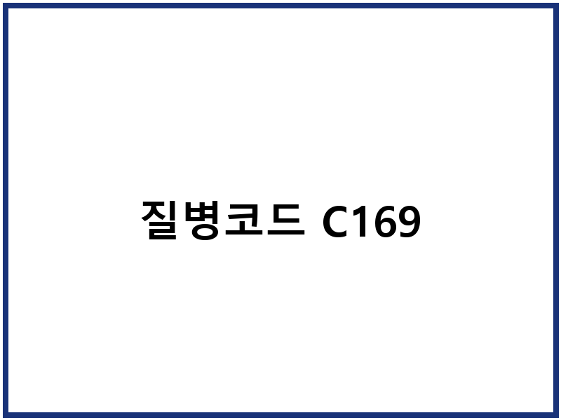 질병코드 C169