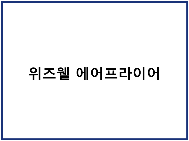 위즈웰 에어프라이어